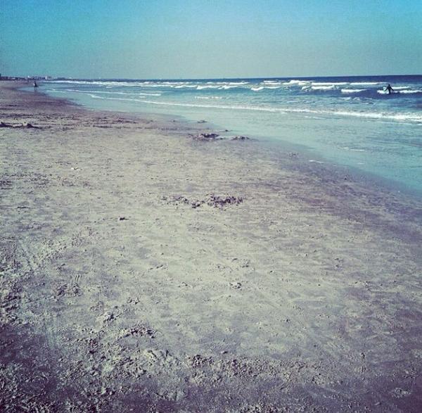Jacebabay's tweet photo. Florida bitches http://t.co/CvX71DG2al