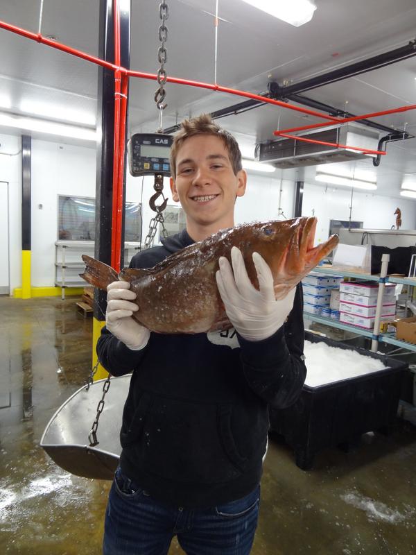 WildEdiblesFish tweet picture