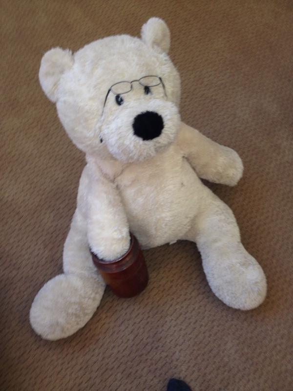 fursebear's tweet photo. Furse Bear has been wearing glasses to look serious in attempt to distract you from his blatant honey addiction http://t.co/dXnaaykAMH