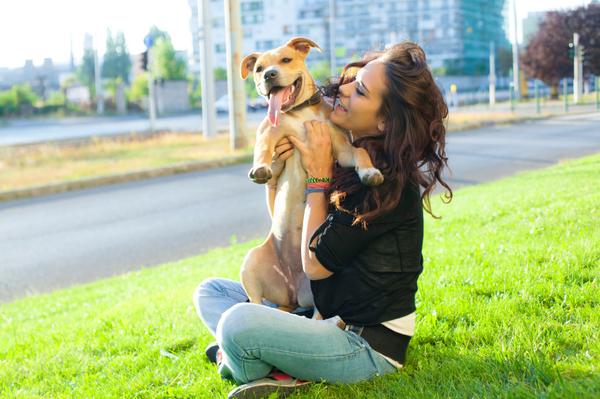 RoverSFO's tweet photo. Become a #RoverSitter in SF! RT @RoverDotCom 10 happy and unexpected delights of dog sitting http://t.co/Bwm43U9xvs  http://t.co/V2vgm41OAV