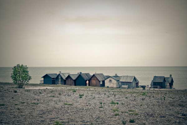 republicofmedia's tweet photo. NEW WEBSITE! photography from Sweden, The Arctic Circle, Africa, Ireland, Gotland Island.   http://t.co/02fnbUOeA2 http://t.co/Ln06gRXhev