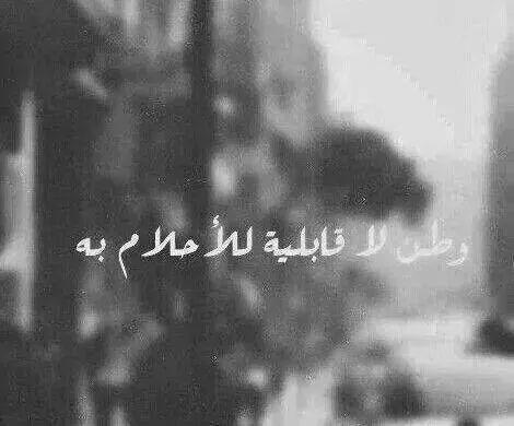 jaffer_kh tweet picture