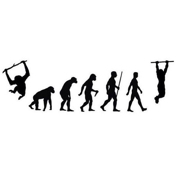 RhymesWithJawn's tweet photo. Evolution 😉

#calisthenics http://t.co/WIqI1AKEpq