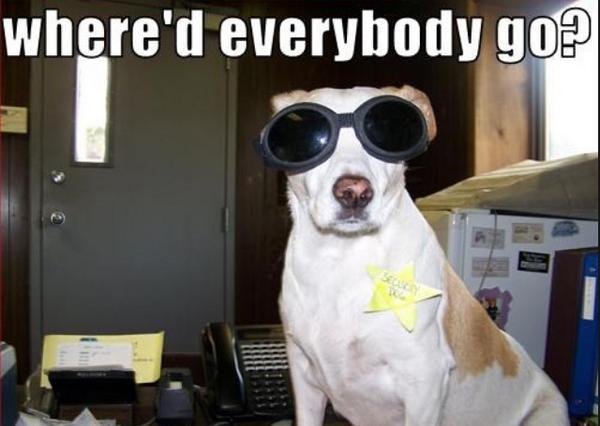 athlete_student's tweet image. I understand your pain little doggie... #summertraining #emptycampus #sportslife