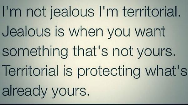 MyNewGfProbz's tweet image. This 👏