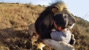 Lifeonthegopro's tweet photo. All you need is #love. #gopro #moments #nature #animals #hugs #beautiful http://t.co/tBoUCIH4Wr
