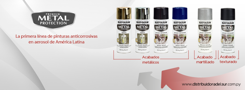 Pintura en Aerosol Metal Protection Martillado Rust-Oleum