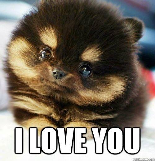 Paultje10's tweet photo. @xLisanne_xx ik hou van je liefie! http://t.co/AAuDqY43KB