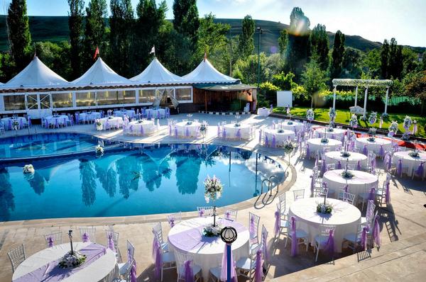 Aquaapple Garden (@aquaapplegarden) on Twitter photo 