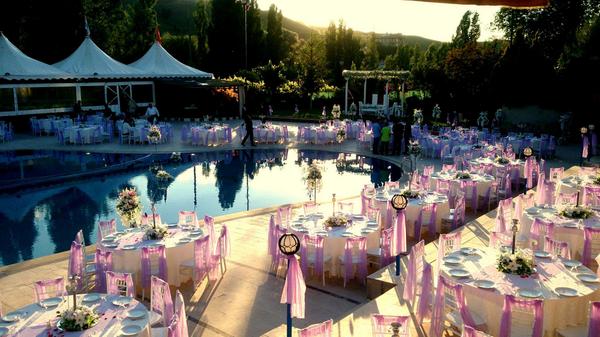 Aquaapple Garden (@aquaapplegarden) on Twitter photo 