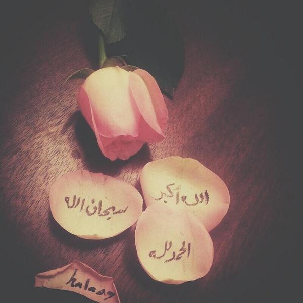 halah017's tweet photo. (( الـمُـوفـق ))
هو الذي إذا توقّفتْ أنفاسه
لم تتوقف حسناته
مسافرٌ أنتَ والآثارُ باقيةٌ 
فاترك وراءك ما تحيي به أثرك http://t.co/AZVRIJNRaw