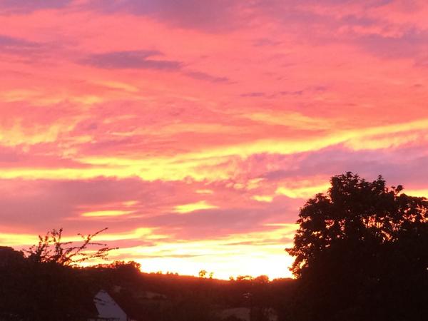 Sam Didcote tweet media