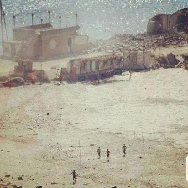 Gaza Surf Club tweet media
