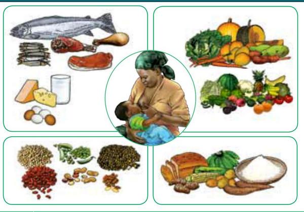 ini menu MPASI anjuran WHO :) <a href="/hanherihan/">Rihandriani Pridgar</a>: apa aja dok? | <a href="/drOei/">Wiyarni Pambudi</a>: mulai menu 4 stars yak :) google.co.id/url?sa=t&sourc…