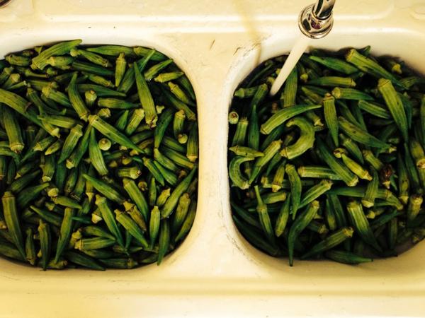<a href="/MosquitoSupper/">Mosquito Supper Club</a>: Let the prep work commence. #okra #cajun #shrimpokragumbo #LASummer <a href="/pepperinmyshoe/">A Pepper in My Shoe </a>