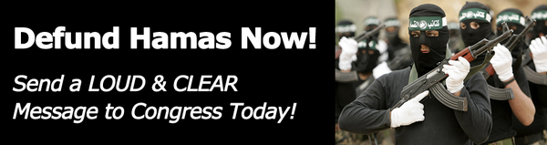 LisaPandone's tweet image. #defundhamas .@DRUDGE_REPORT 1st twitter rally #Israel  #DefundHamas NOW PETITION defundhamas.com @megynkelly