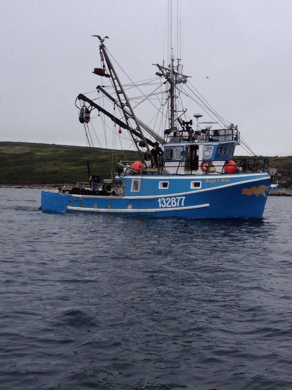 spence_dp's tweet photo. Full load of Caplin @ColdWaterCowboy http://t.co/94gwjUycgz