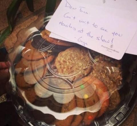 Lady Gaga Enigma ⭐ tweet media