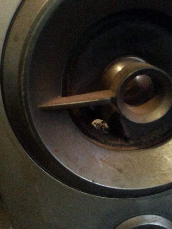 Stalkers broke in and put screw in my speaker. So over being #gang stalked!!!