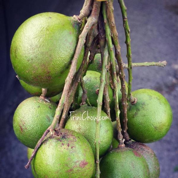 TriniChow's tweet photo. The best snacks really do hang on trees, #chennette is one of them @ESPjrIsland. #trinidadandtobago http://t.co/WIjTZSNyXK