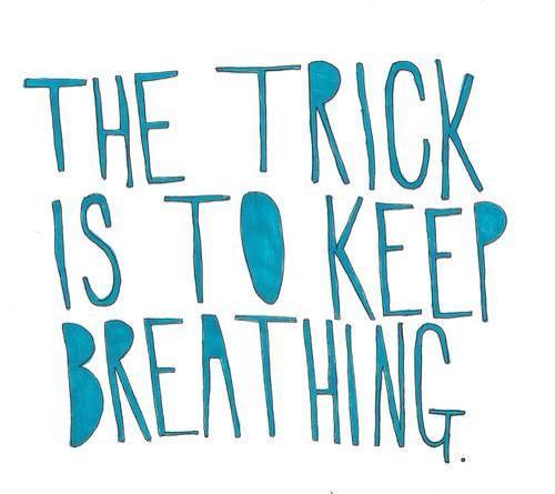 SuperBound11's tweet photo. #Breathing #stressreliever #stressbegone #rebounding #JoyousBounce11 Seems Obvious Feed your Body Spirit Soul http://t.co/fzeN9TmOE2