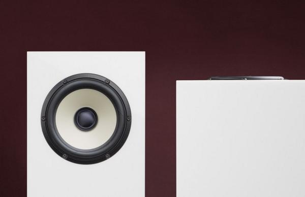 hifitest_de's tweet image. Abgeholzt - Der Progressive Audio Extreme 1 im Klangtest #ProgressiveAudio #Lautsprecher hifitest.de/hf/9492