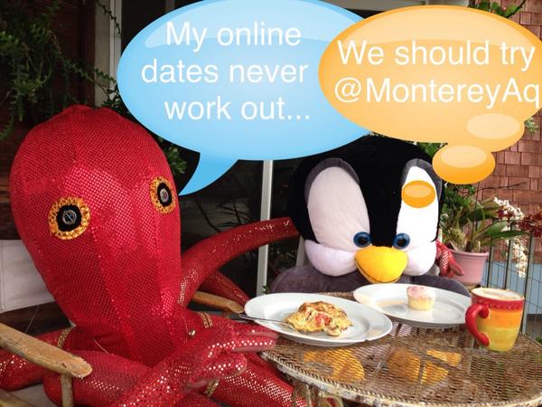 deinefreunde's tweet photo. Looking for a #MBAtentacles date with @MontereyAq http://t.co/qxGbZ934Wn