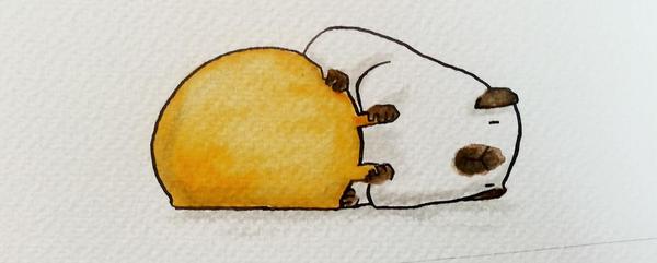 daisyhillyard's tweet image. I'm a real serious artist who produces meaningful work at all times. #GuineaPigOnASpacehopper