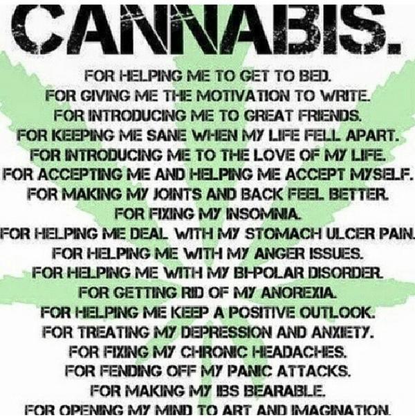 IegaIization tweet picture