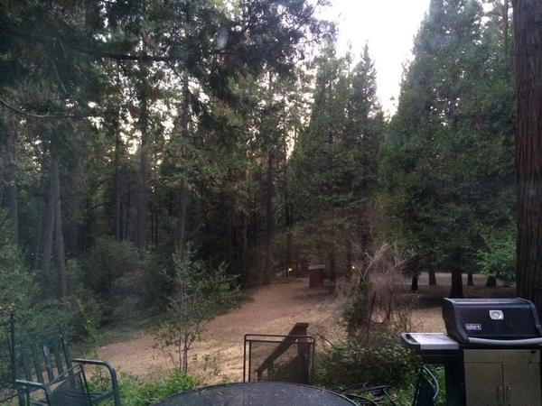 mredd19's tweet photo. Into the Wild! Just beautiful :) http://t.co/YNIxS4hQuz