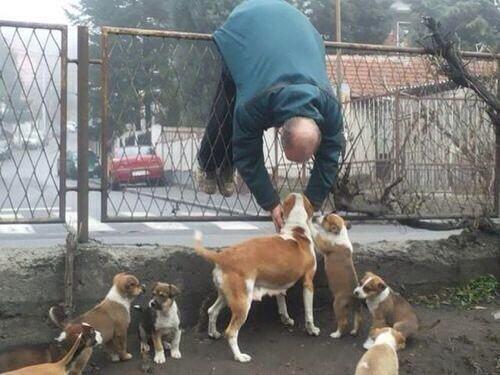 GirlsNoteBook's tweet photo. Me when I see dogs http://t.co/uFF3XAJwl2