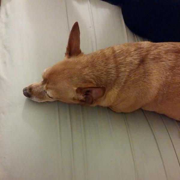 6431bd4e03a74eb's tweet photo. http://t.co/tVGWgxZgU9