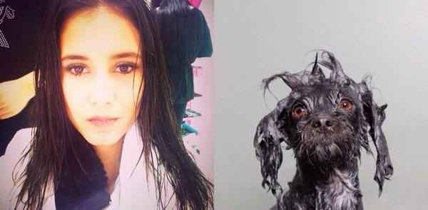 Bárbara Islas tweet media