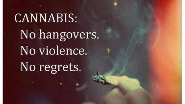 TheWeedPic tweet picture