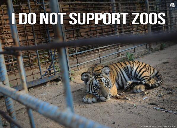 Ecogranjero's tweet photo. No al #maltratoanimal. RT si estás en contra de los zoologicos http://t.co/1RplFqa0g1