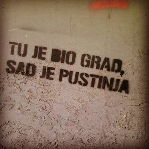 Jelena Popovic tweet media