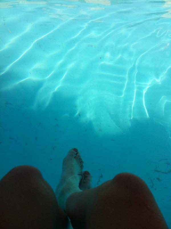 Nada mejor que meterte en la piscina de la hípica después de montar 😎
