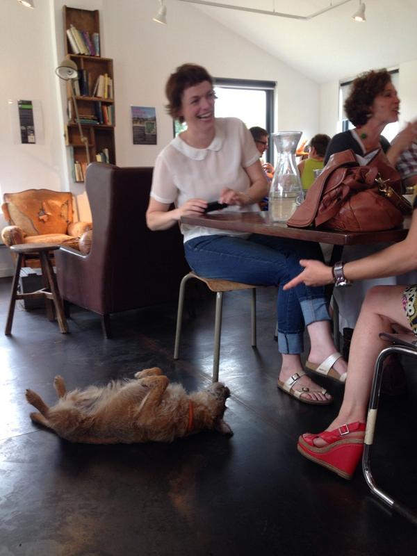 Tanja Flintoff tweet media