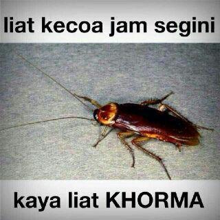 fajry_capt's tweet photo. Hahahahha http://t.co/FsSc7xfcG4