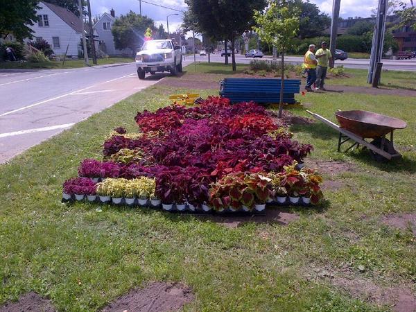 Maria McRae tweet media