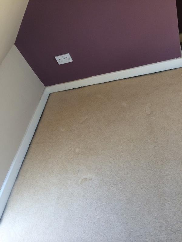 TCSCleaning2014's tweet photo. An attic carpet we cleaned this morning http://t.co/yqF4RS0E4r
