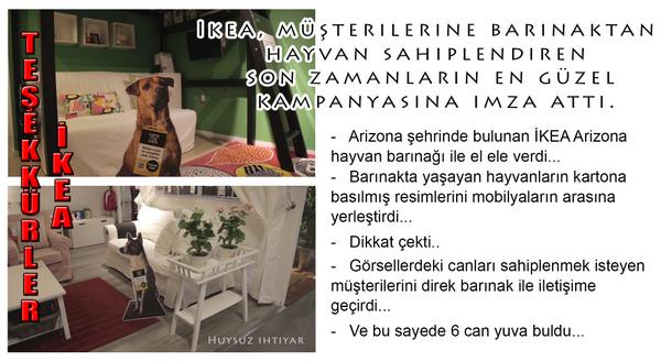 PetArkadas's tweet photo. “@Huysuzihtiyarr: İKEA'ya teşekkür ederiz, ülkemizdeki şubelerinde de bu uygulamayı görmek dileğiyle... http://t.co/MKtW09uIDX”