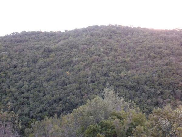 rincondecaza's tweet photo. La caza, la caza de verdad, no depende única y exclusivamente de apretar el gatillo http://t.co/BCn5RFHWfB