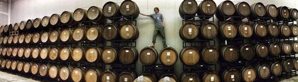 indeedbrewing's tweet photo. Take a look at the early stages of the sours. Possibly Brett-Saisons (as early as Jan), Flemish Sours &amp; lambics. http://t.co/VAVHWoBNQW