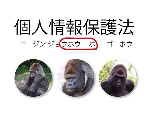 元ウホウホゴリーラ tweet media
