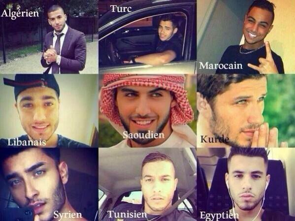 . tweet media