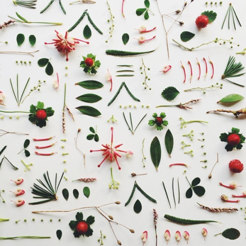 10 Super Creative Instagram Accounts to Follow buff.ly/1wzQTDN via <a href="/designsponge/">Margaret Patel♀</a>