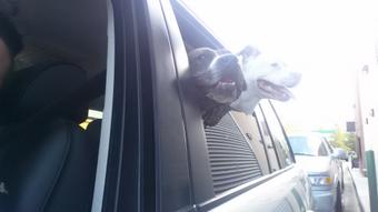 Mahm, the meatloaf! We want it now! http://t.co/ASQ4M9quWg