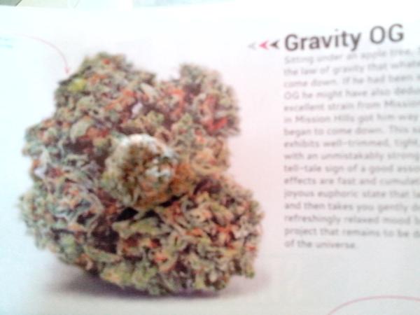 In another dimension 

<a href="/stonerfacts1/">Stoner Facts</a>