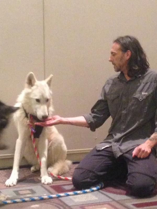 Worlds first biometric wolf. Honored to share a stage with this beauty.